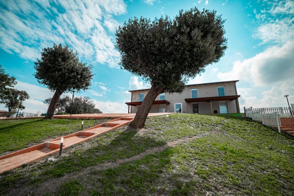 Agriturismo Il Colle Dei Lecci Ancona Exterior foto